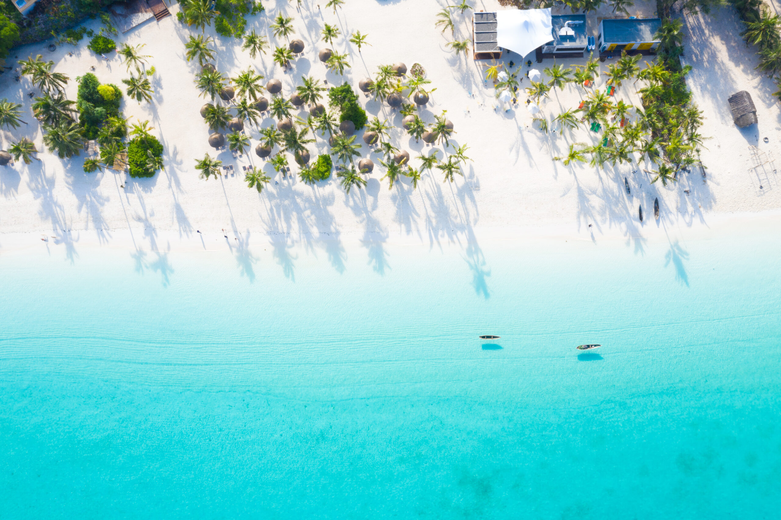 Tanzania & Zanzibar – Safari, Spice & Serenity